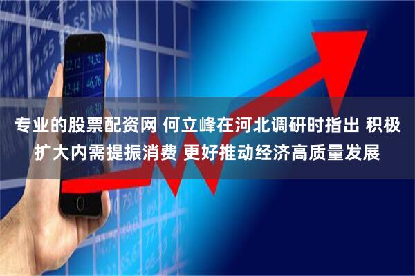 专业的股票配资网 何立峰在河北调研时指出 积极扩大内需提振消费 更好推动经济高质量发展