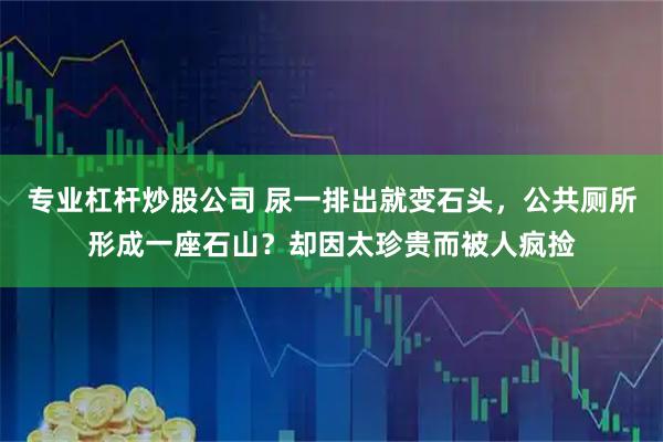 专业杠杆炒股公司 尿一排出就变石头，公共厕所形成一座石山？却因太珍贵而被人疯捡